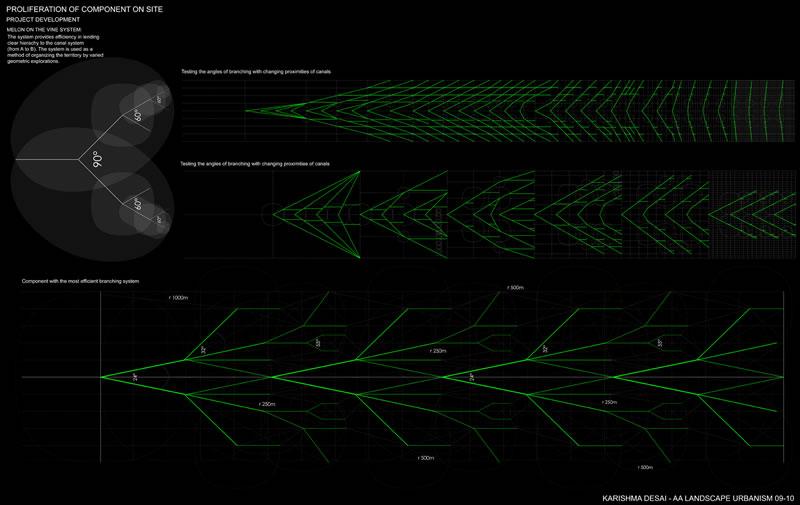 Development of Component: Canal Branching
